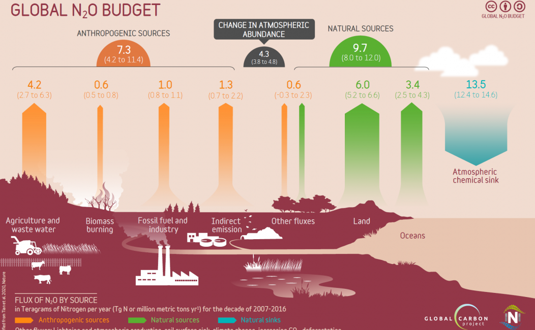 Simplified Global Nitrous Oxide Budget Figure<br />Source: Global Carbon Project 