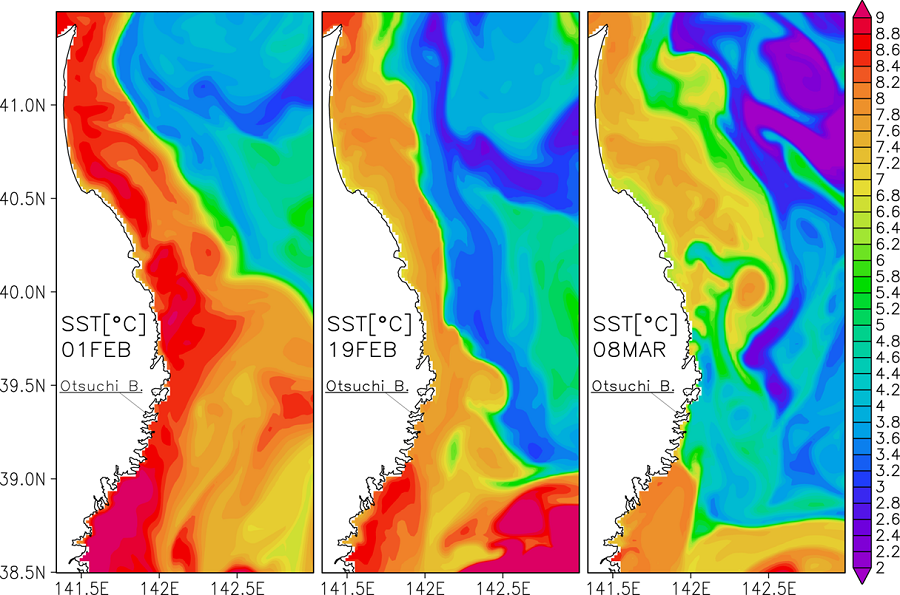 Hiroyasu Hasumi<br />Simulated results of the sea surface temperature of Sanriku coast