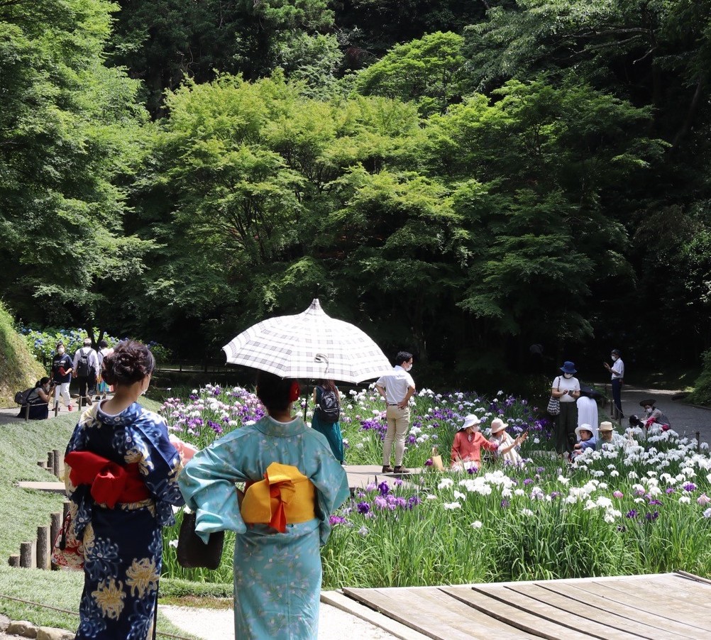 Visitors leisurely enjoy an iris garden in Japan. Of all the pathways linking a single cultural ecosystem service to a single constituent of well-being captured from the academic literature, 86.3% represented positive contributions compared to just 11.7% negative contributions. ©2022 Nicola Burghall CC-BY-NC