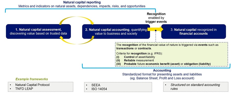 Figure 1: Three-Step of natural capital integration into financial statements (Mountains Group)