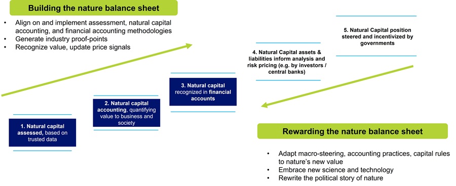 Figure 2: Five-Step Roadmap for Market Infrastructure Transformation (Mountains Group)