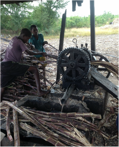 Abubakari AHMED<br />
ガーナ共和国、Dabalaの小規模サトウキビ加工業者